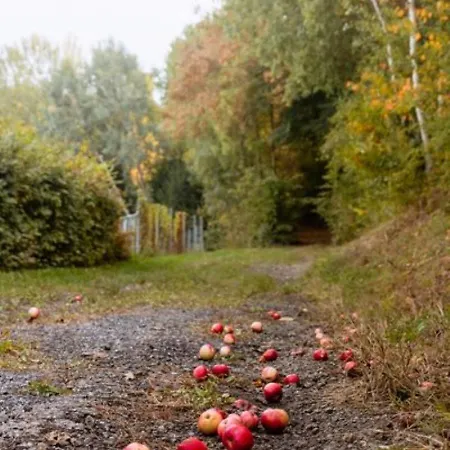 Gastehaus Ranftl Guest house 3*