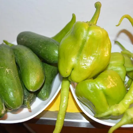 Gastehaus Ranftl Guest house Unterlamm (Styria)