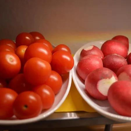 Gastehaus Ranftl Guest house 3*