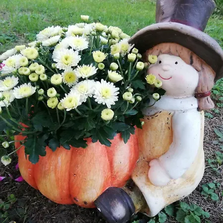 蓝菲乐旅馆 招待所