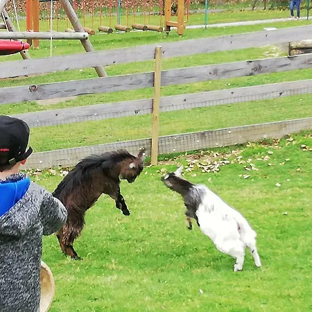 招待所 蓝菲乐旅馆 3*