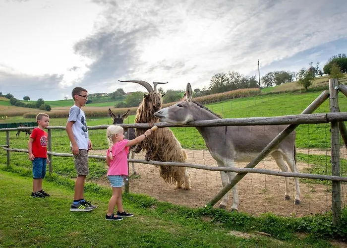 Gaestehaus Ranftl 3* Unterlamm (Styria)