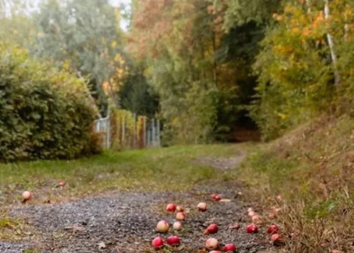 Gaestehaus Ranftl Penzion 3*