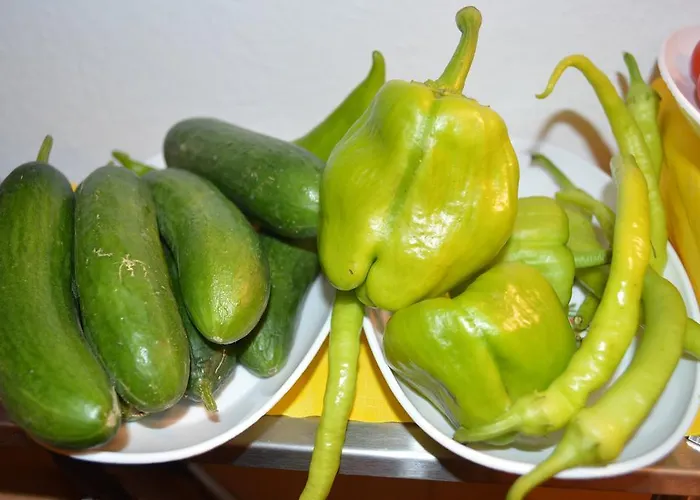 Gaestehaus Ranftl Penzion Unterlamm (Styria)