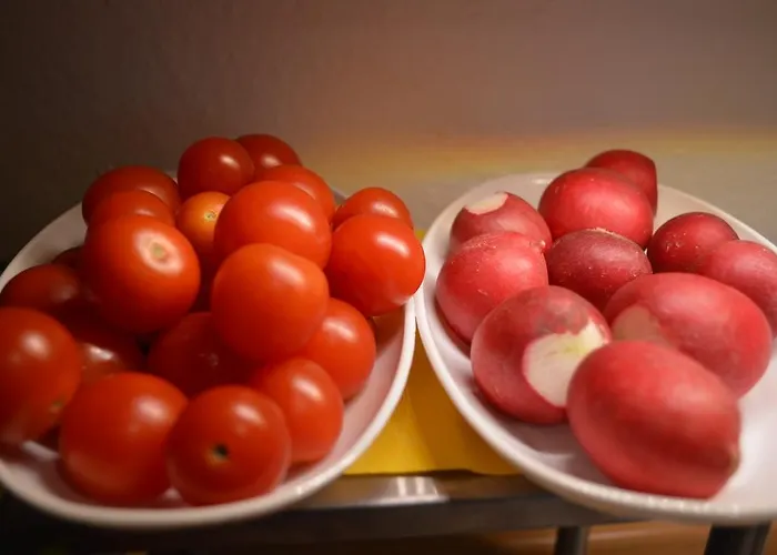 Gaestehaus Ranftl Pensionat 3*