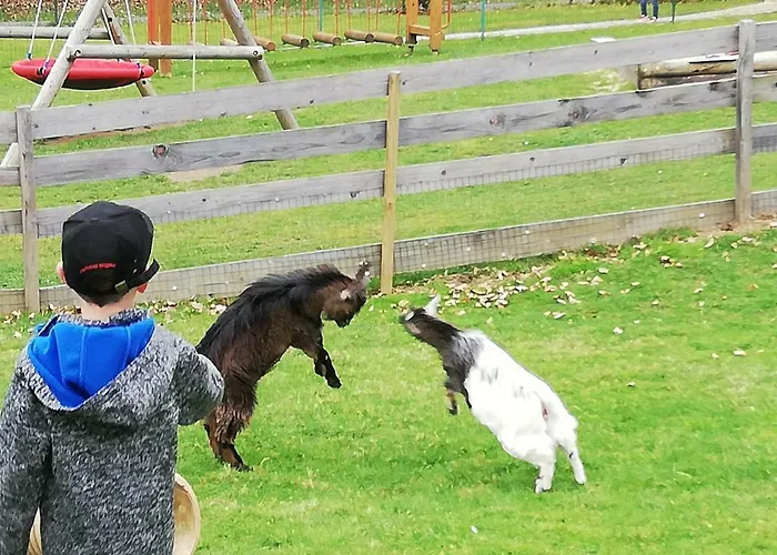 Pensionat Gaestehaus Ranftl 3*